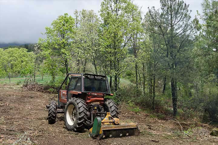 Commercial Landscaping